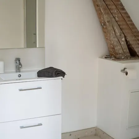 Grand 100m2 En Centre-ville Idéal Pour Groupes Ou Familles 3 Salles De Bain Vichy