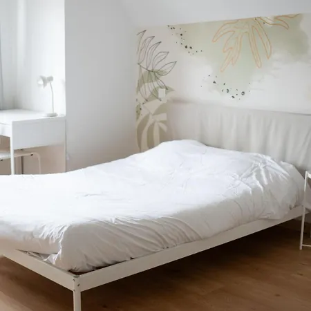 Grand 100m2 En Centre-ville Idéal Pour Groupes Ou Familles 3 Salles De Bain Vichy