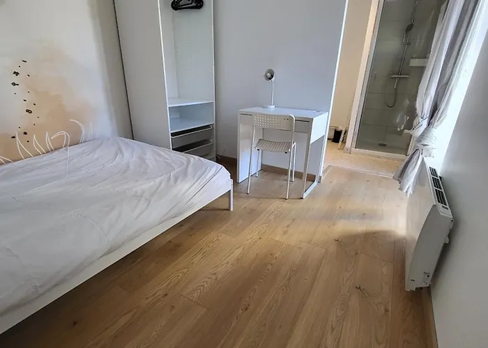 Апартаменты 3 3 Sdb Rare Calme Hypercentre Виши