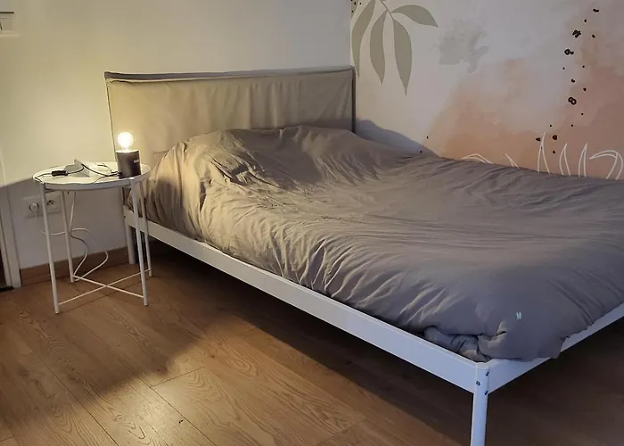 3 3 Sdb Rare Calme Hypercentre Апартаменты *