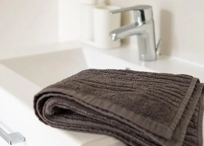 3 3 Sdb Rare Calme Hypercentre *