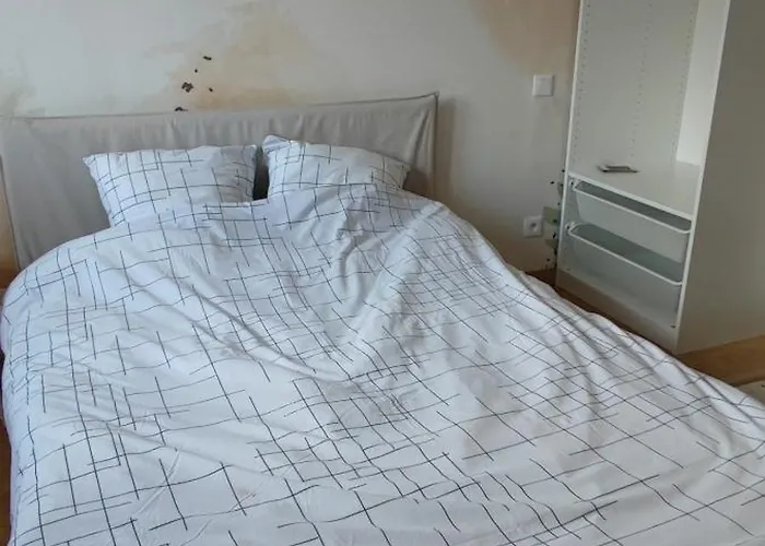 3 3 Sdb Rare Calme Hypercentre *