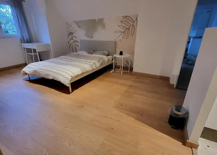 3 3 Sdb Rare Calme Hypercentre Виши