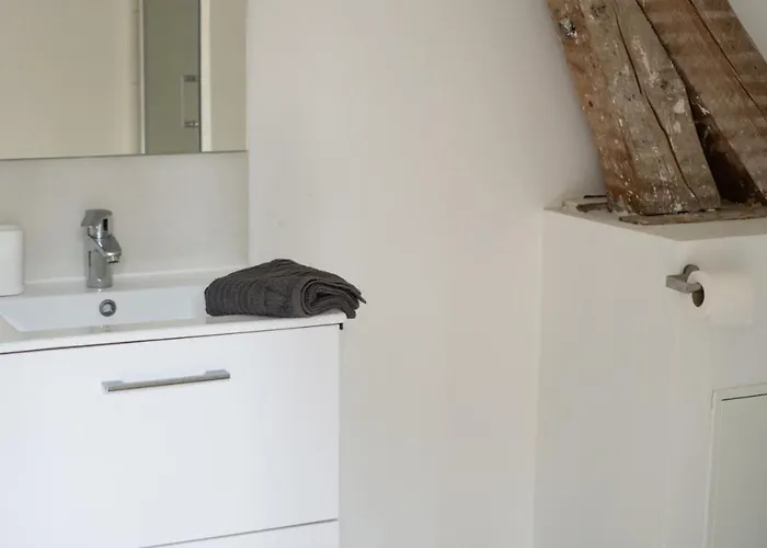 3 3 Sdb Rare Calme Hypercentre Виши