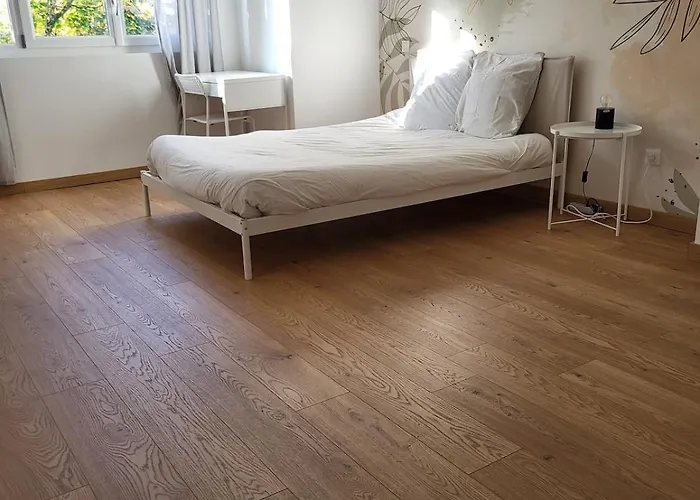 3 3 Sdb Rare Calme Hypercentre * Виши