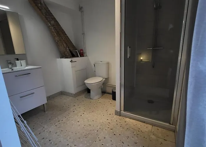 3 3 Sdb Rare Calme Hypercentre *