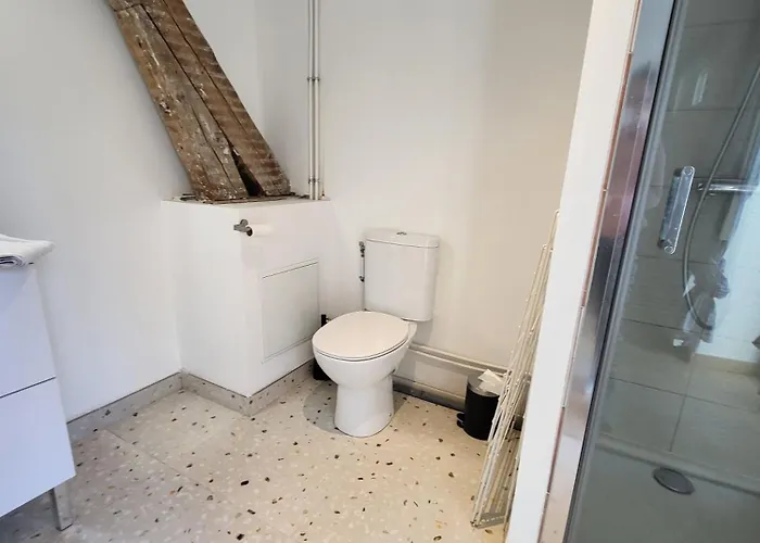 3 3 Sdb Rare Calme Hypercentre Апартаменты Виши