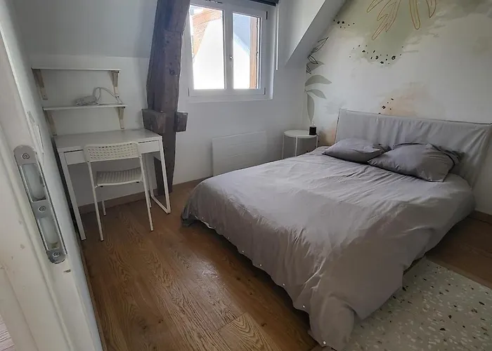 Апартаменты 3 3 Sdb Rare Calme Hypercentre Виши