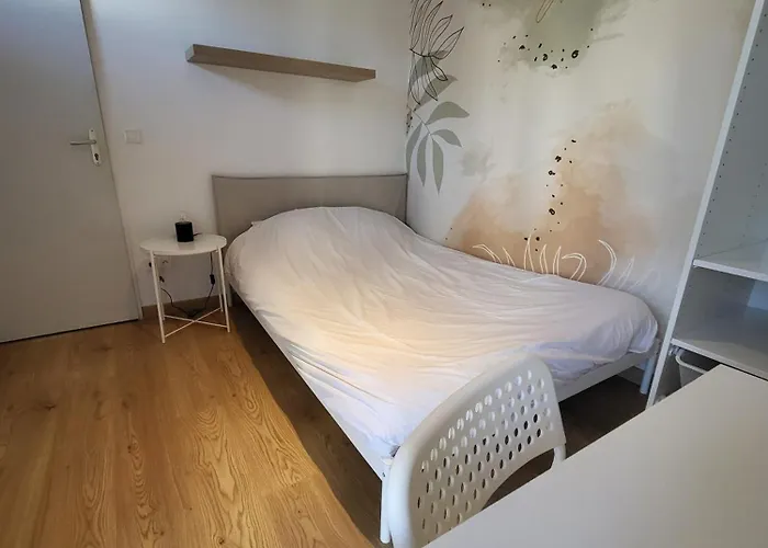 Апартаменты 3 3 Sdb Rare Calme Hypercentre Виши