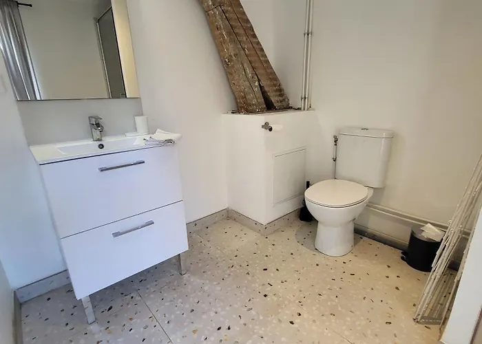 3 3 Sdb Rare Calme Hypercentre Виши