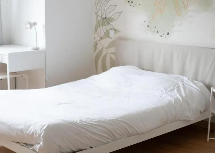 3 3 Sdb Rare Calme Hypercentre Виши