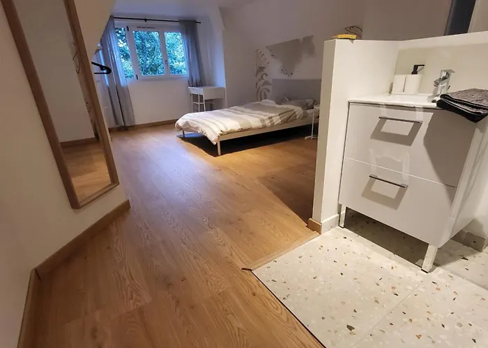 3 3 Sdb Rare Calme Hypercentre * Виши